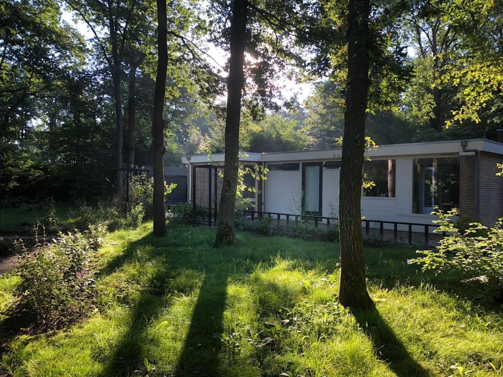 Veel Eigen En Omheinde Grond In Luxe Huisje!